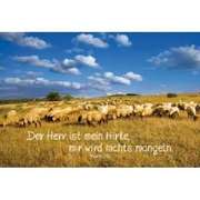 Bild 01